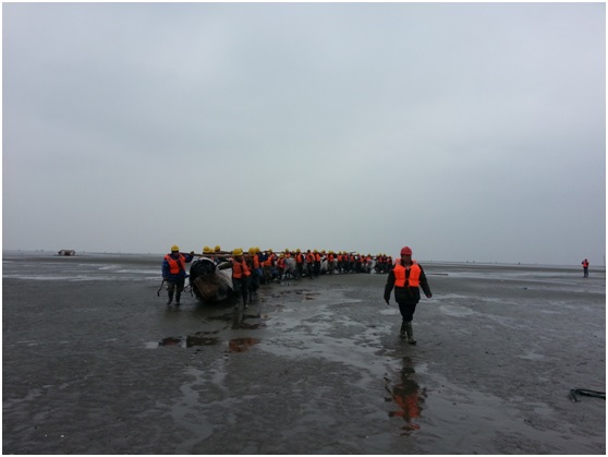 通州灣項目如期復工，現場士氣高昂