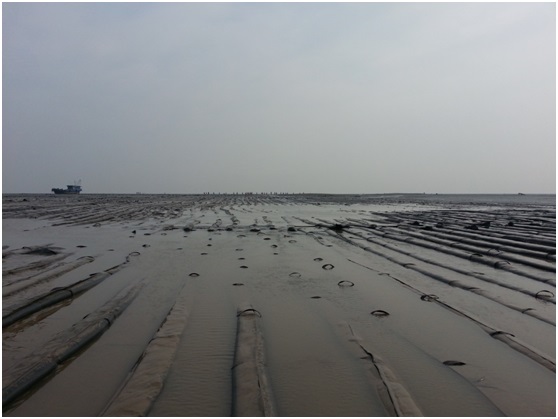 通州灣項目如期復工，現場士氣高昂